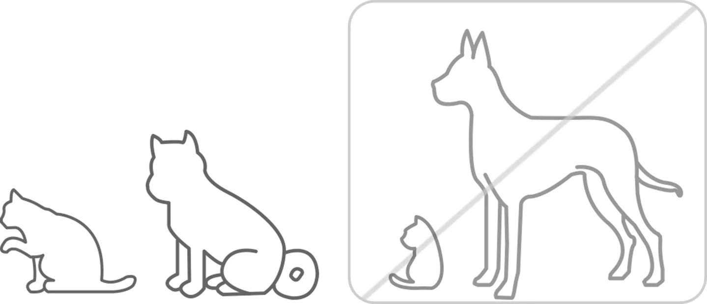 Smart Pet Food Feeder